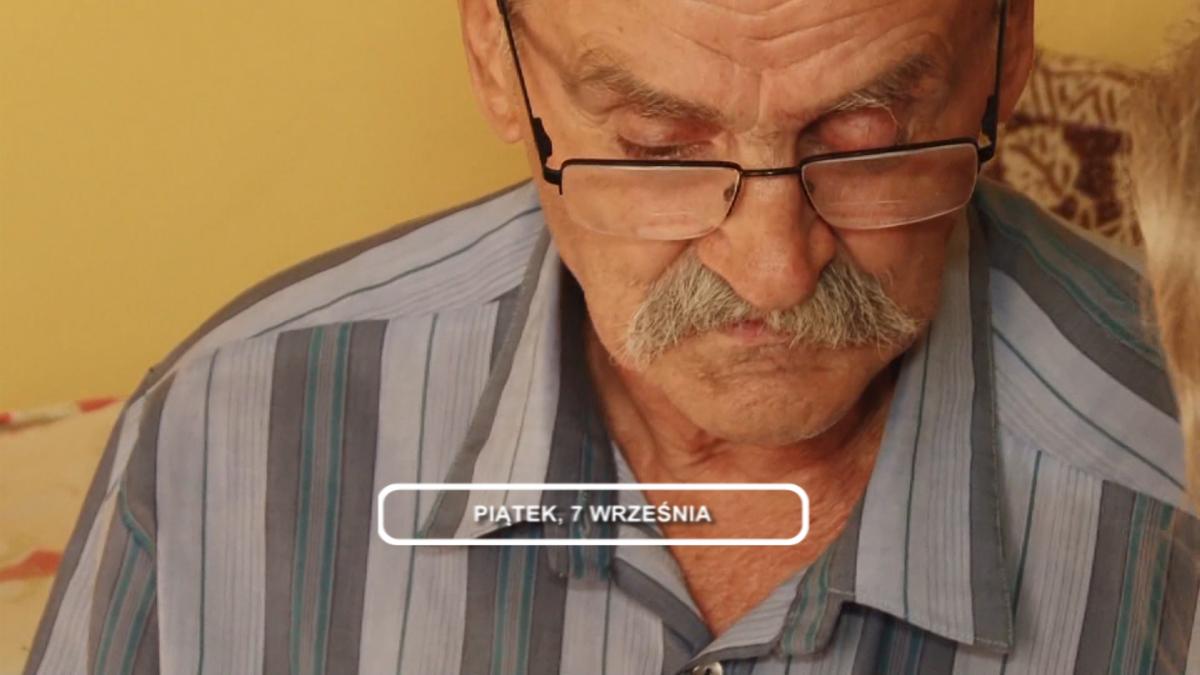 Legnica, Informacje Dami TV, 7.09.2018