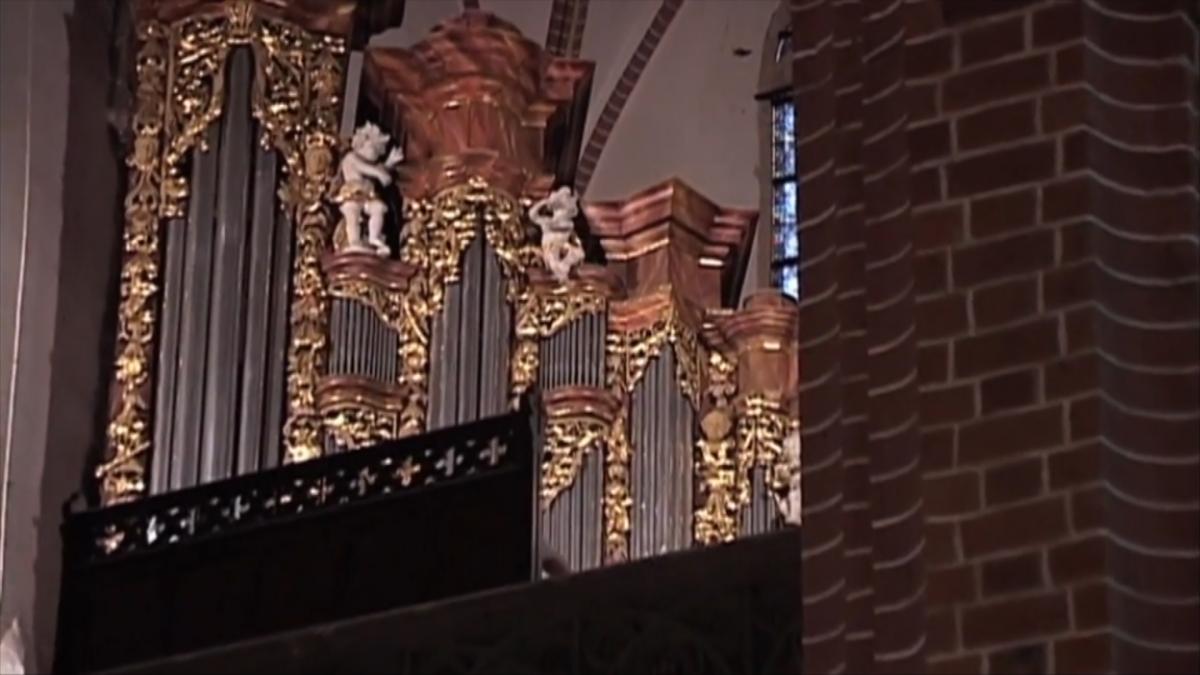 Koncert Organowy z akompaniamentem staropolskich instrumentów w legnickiej katedrze