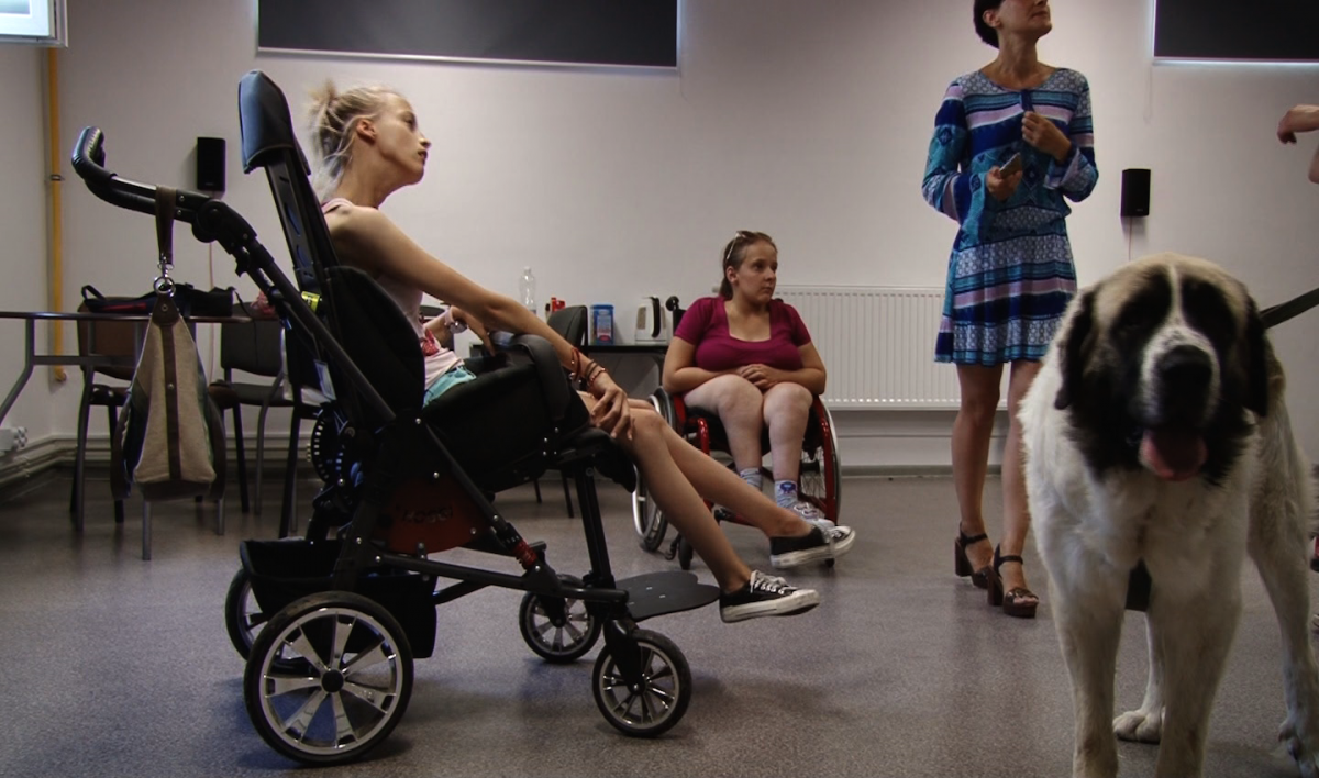 Paula zbiera pieniądze na nowy wózek