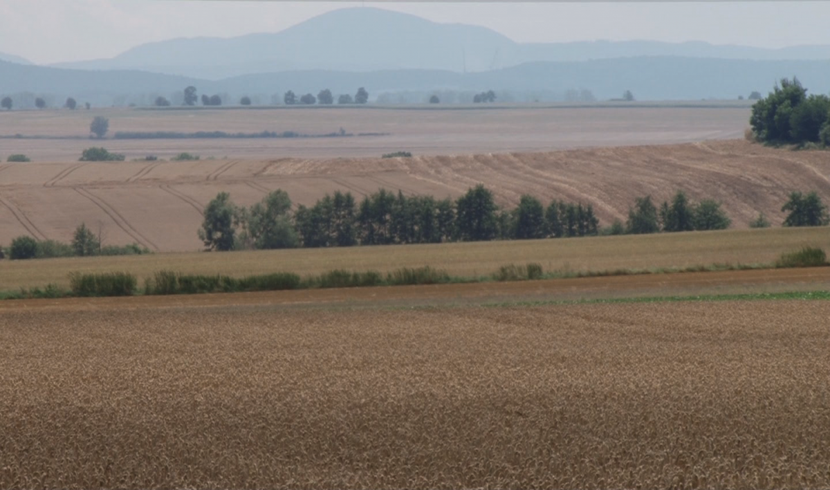 Szymańska o rządowej pomocy dla rolników