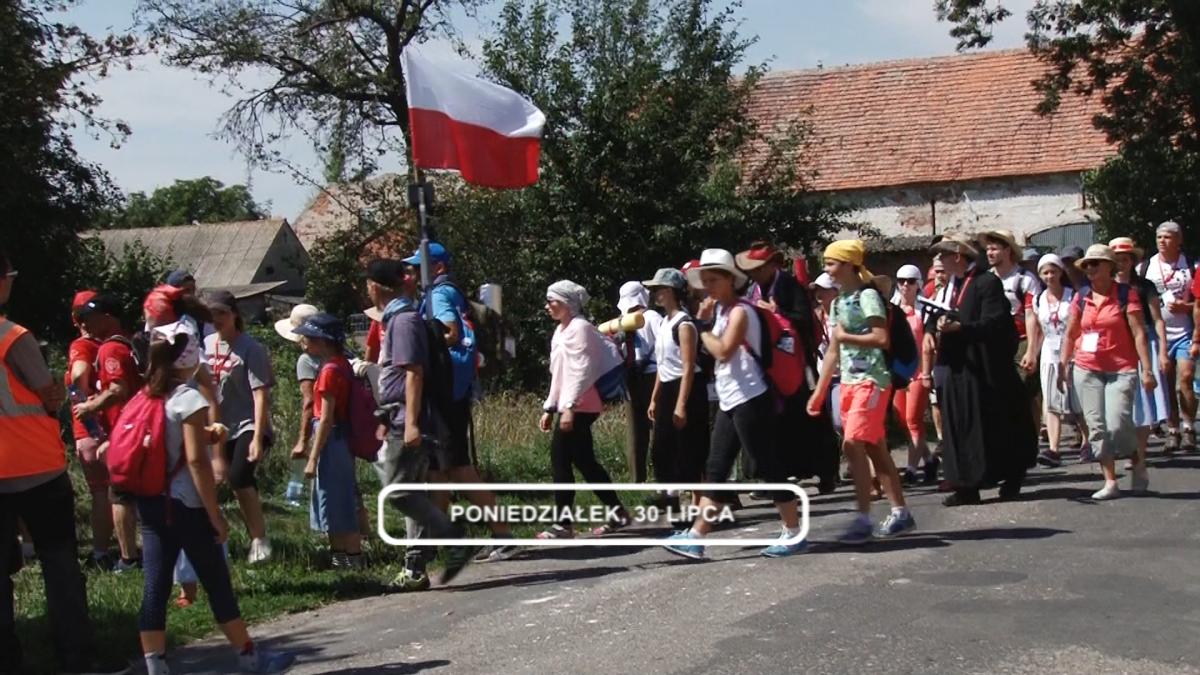 Legnica, Informacje Dami TV, 30.07.2018