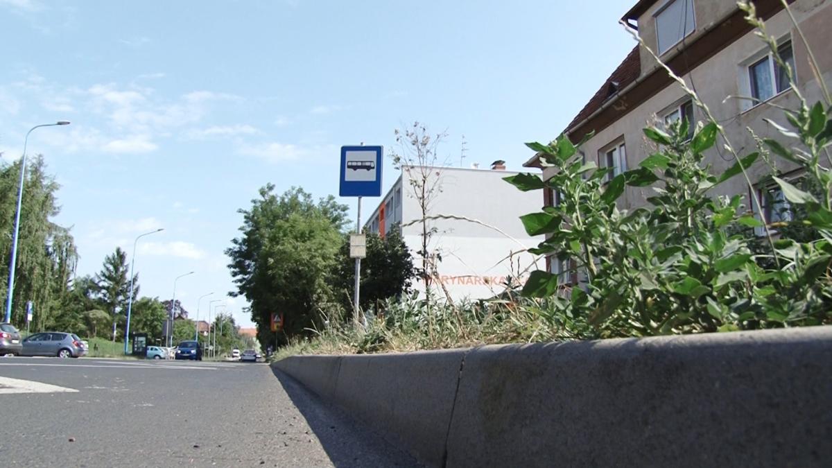 Przystanek MPK przy Marynarskiej tylko dla wybranych 