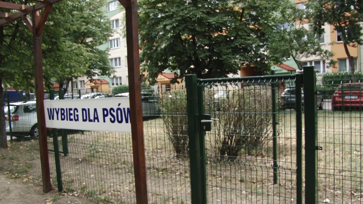 LSM zadbała o psie potrzeby