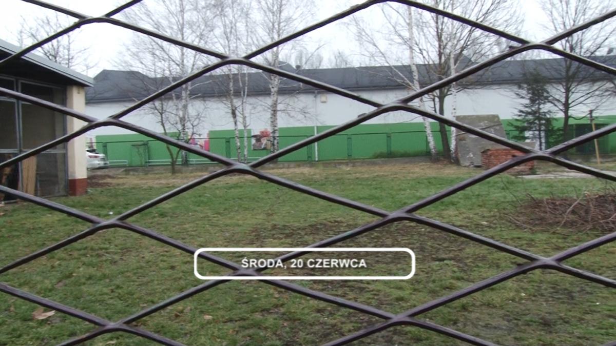 Legnica, Informacje Dami TV, 20.06.2018