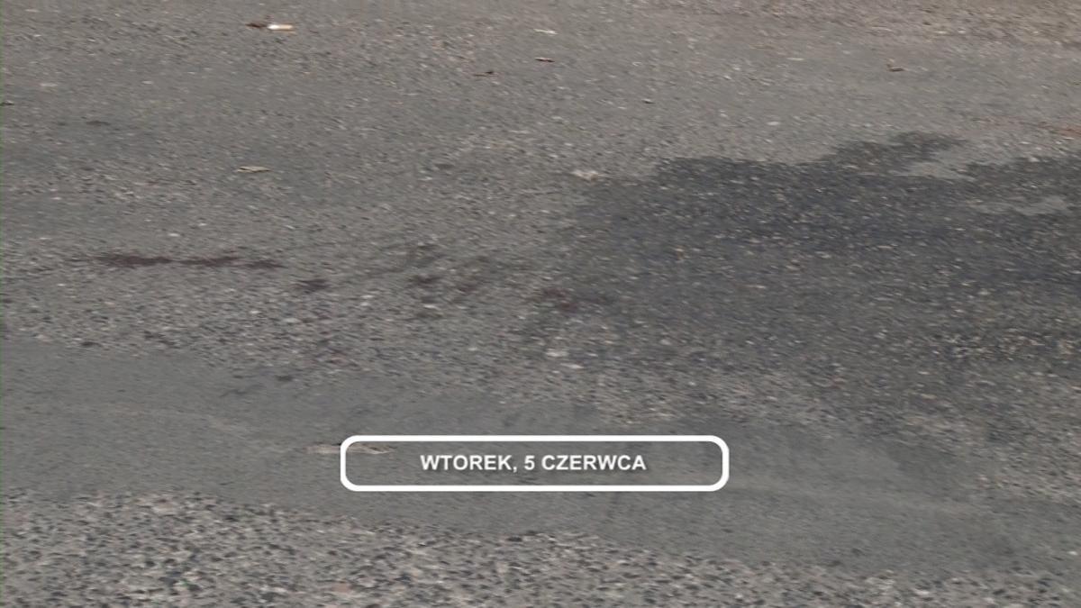 Legnica, Informacje Dami TV, 05.06.2018