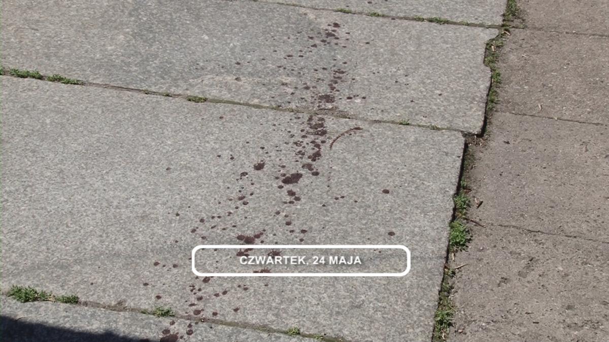 Legnica, Informacje Dami TV, 24.05.2018