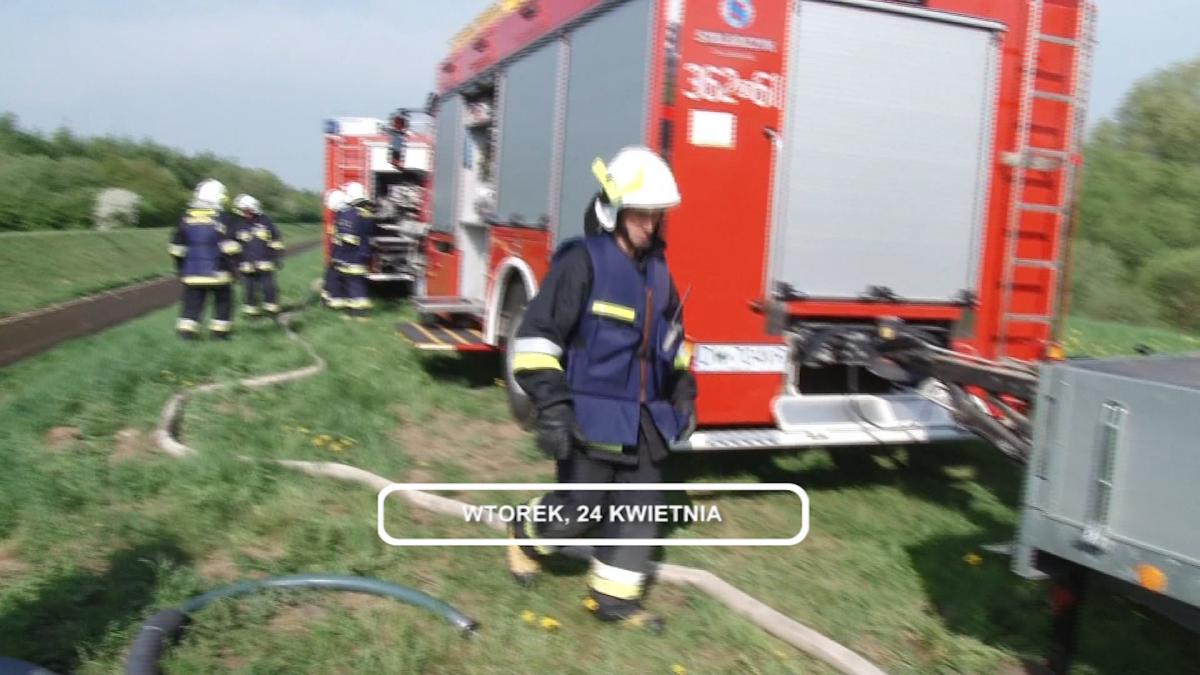 Legnica, Informacje Dami TV, 24.04.2018
