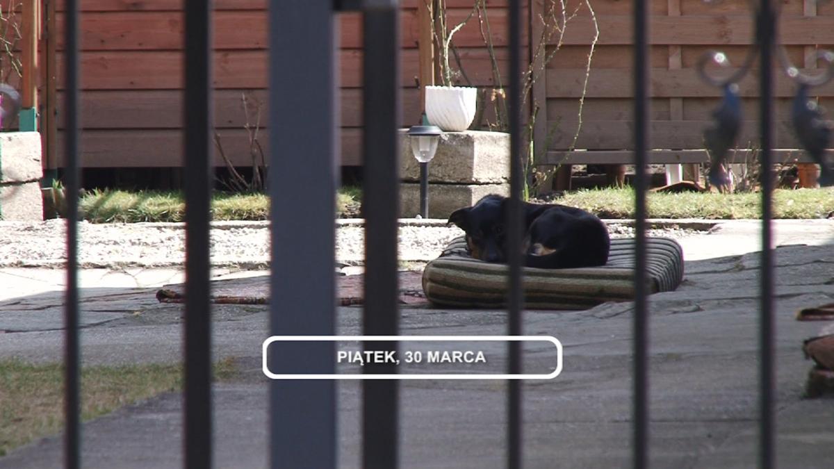 Legnica, Informacje Dami TV, 30.03.2018