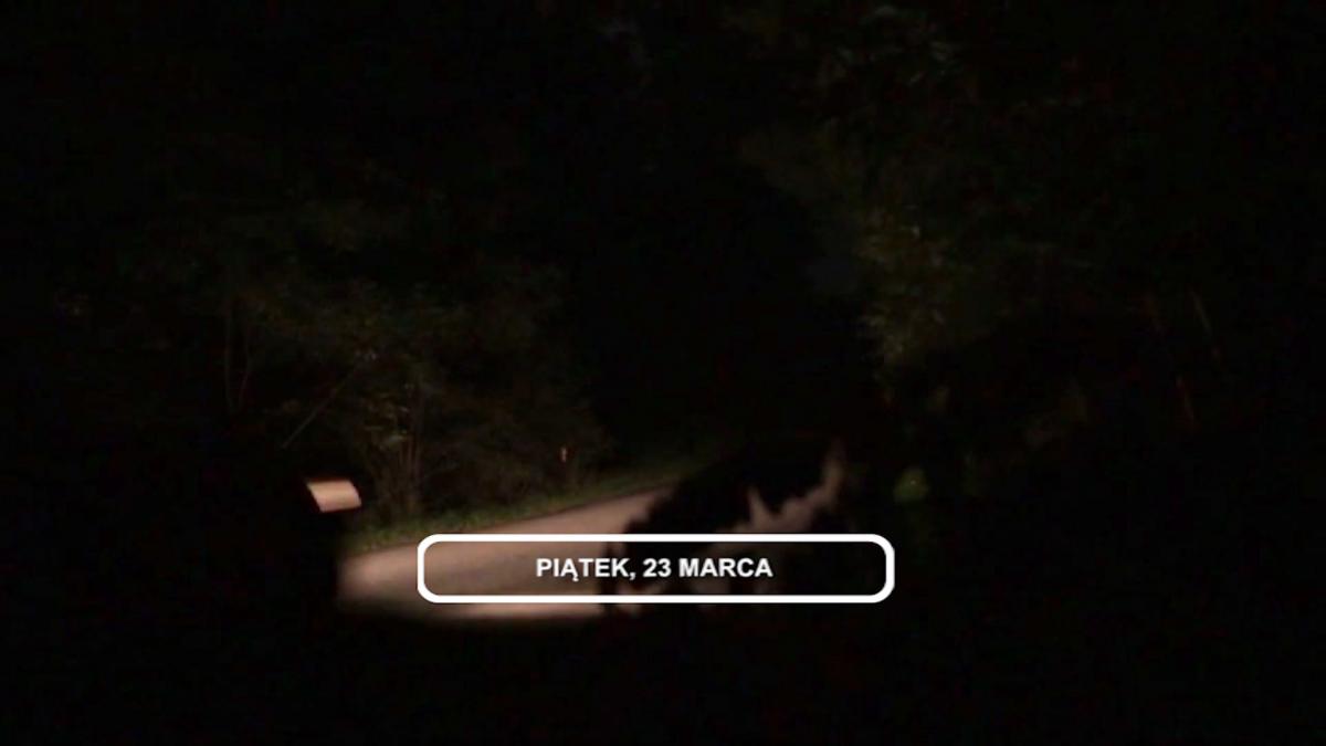 Legnica, Informacje Dami TV, 23.03.2018