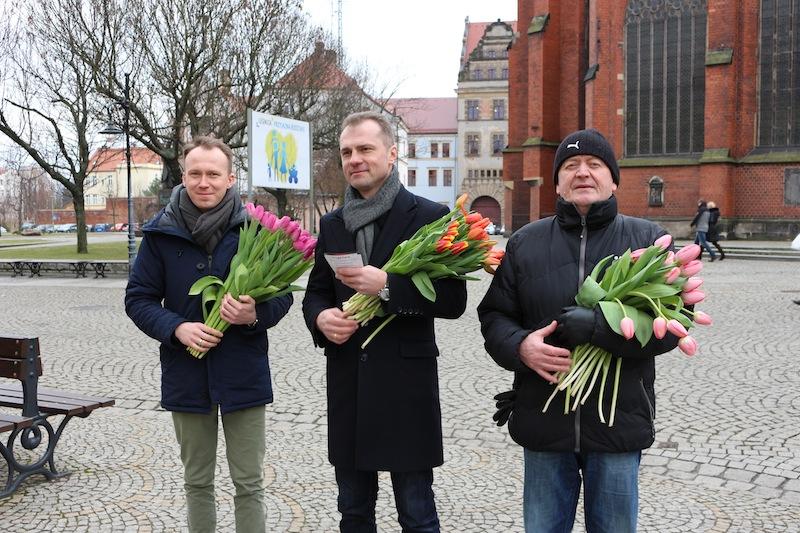 Setki tulipanów, 