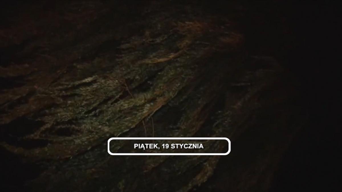Legnica, Informacje Dami TV, 19.01.2018