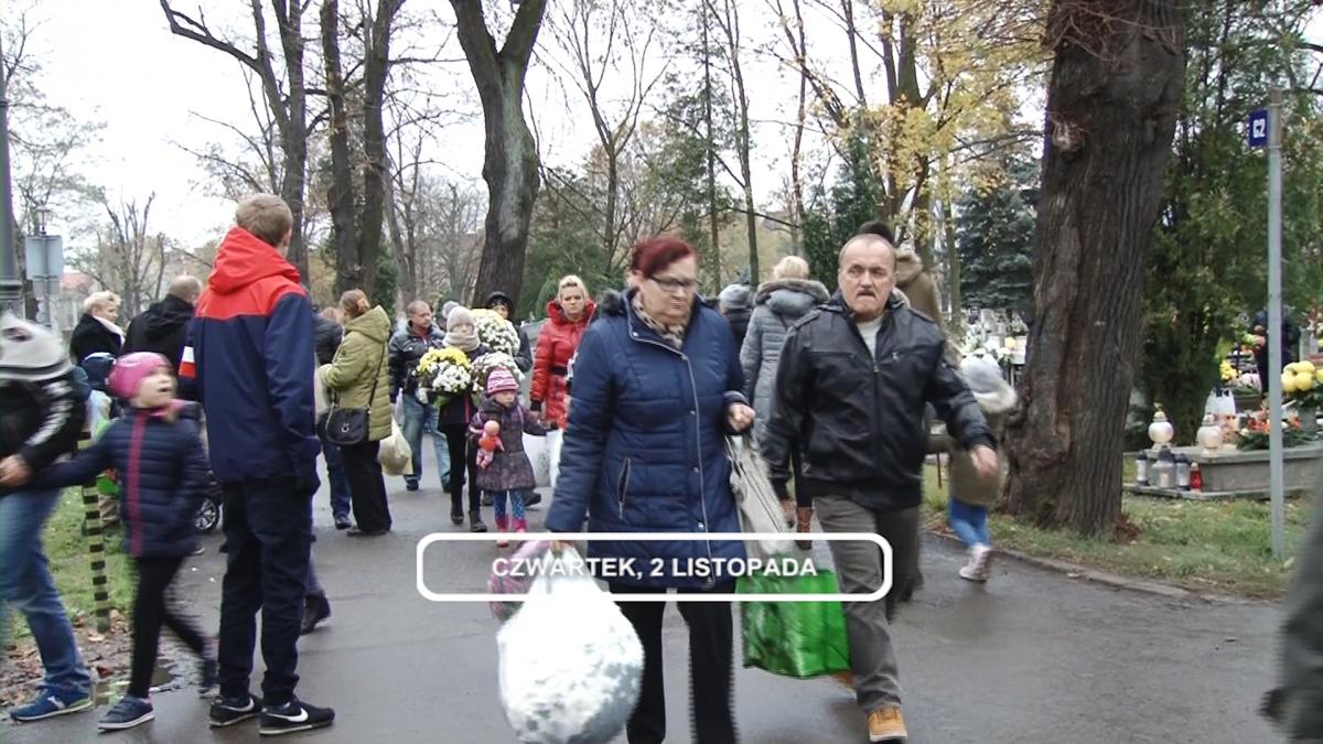 Legnica, Informacje Dami TV, 2.11.2017