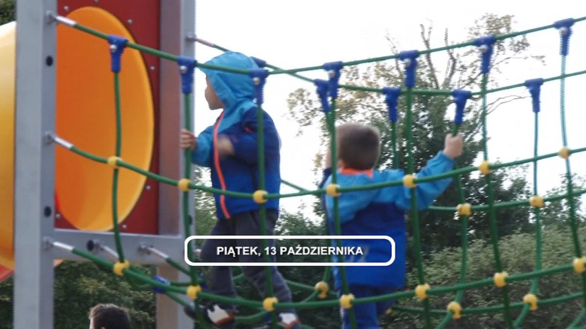 Legnica, Informacje Dami TV, 13.10.2017