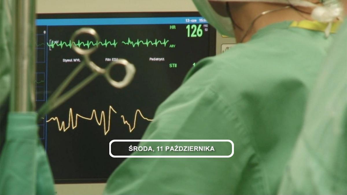 Legnica, Informacje Dami TV, 11.10.2017