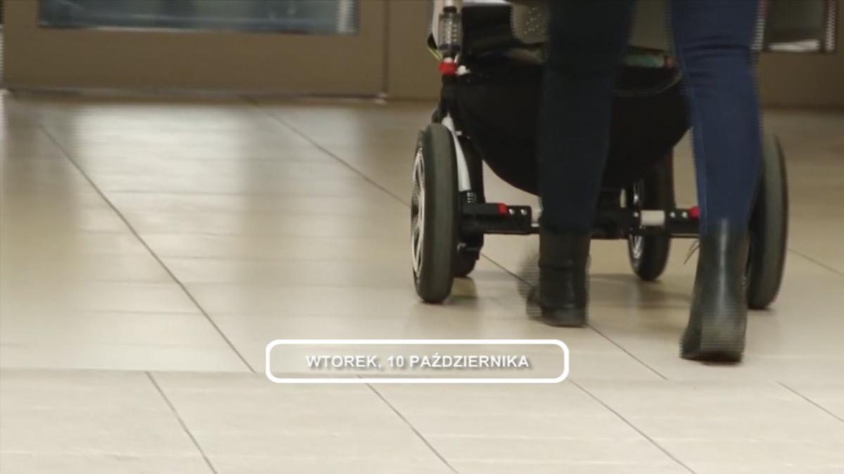 Legnica, Informacje Dami TV, 10.10.2017