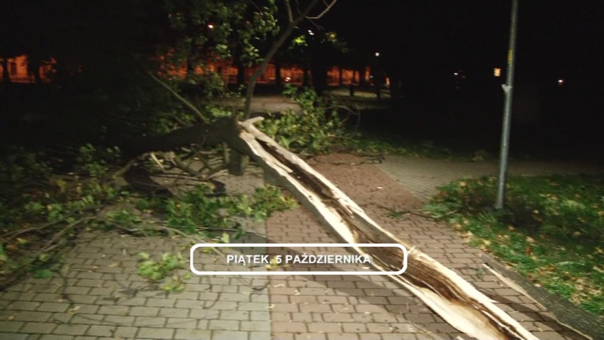 Legnica, Informacje Dami TV, 6.10.2017
