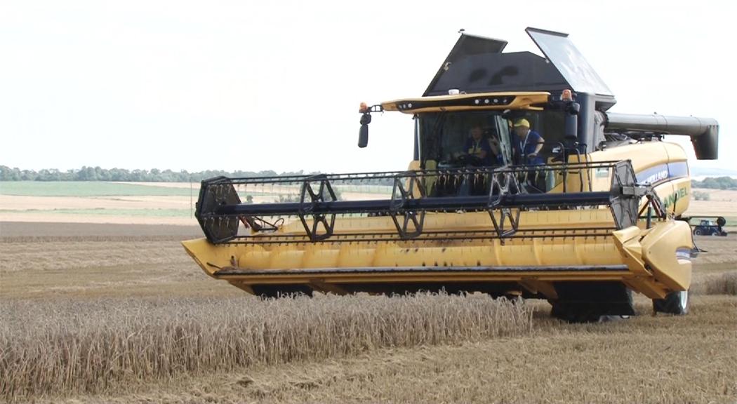New Holland - kombajn CX6.80