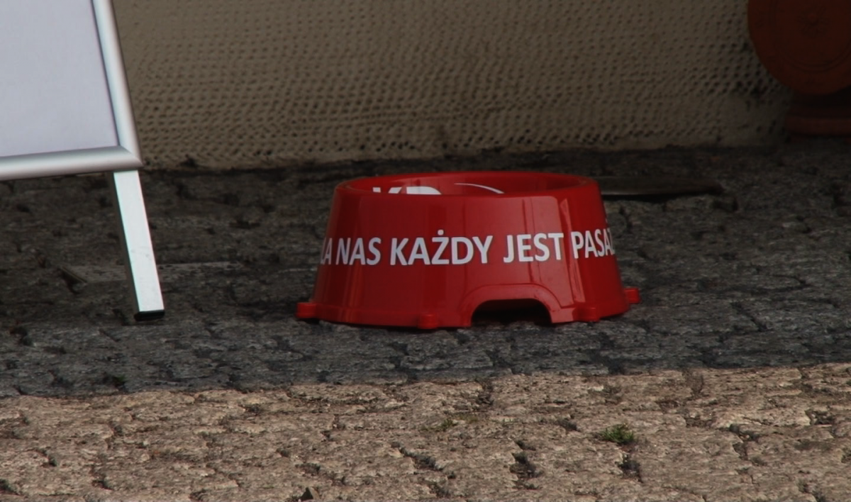  Podróż z psem i miska na dworcu 