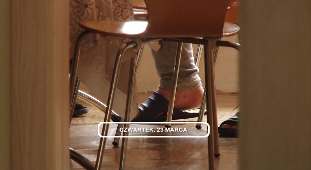 Legnica, Informacje Dami TV, 23.03.2017
