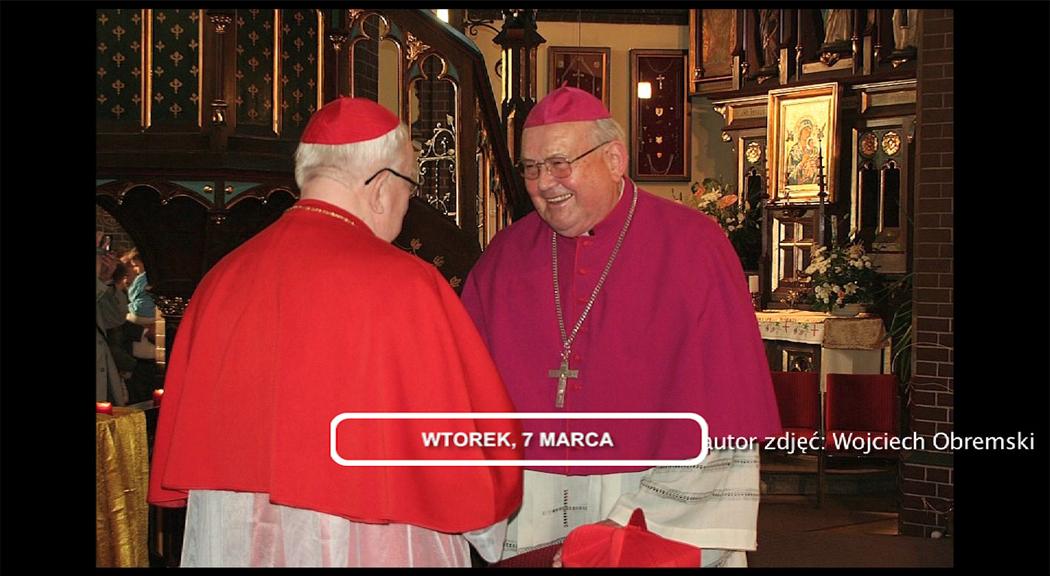 Legnica, Informacje Dami TV, 7.03.2017