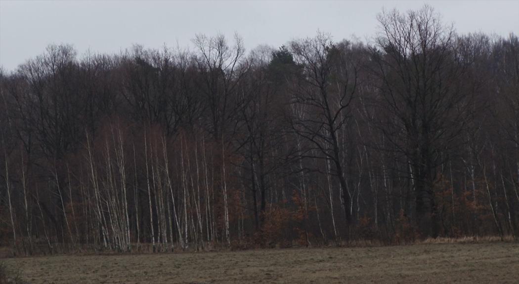 LOK pod Dobrzejowem chce zrobić strzelnicę