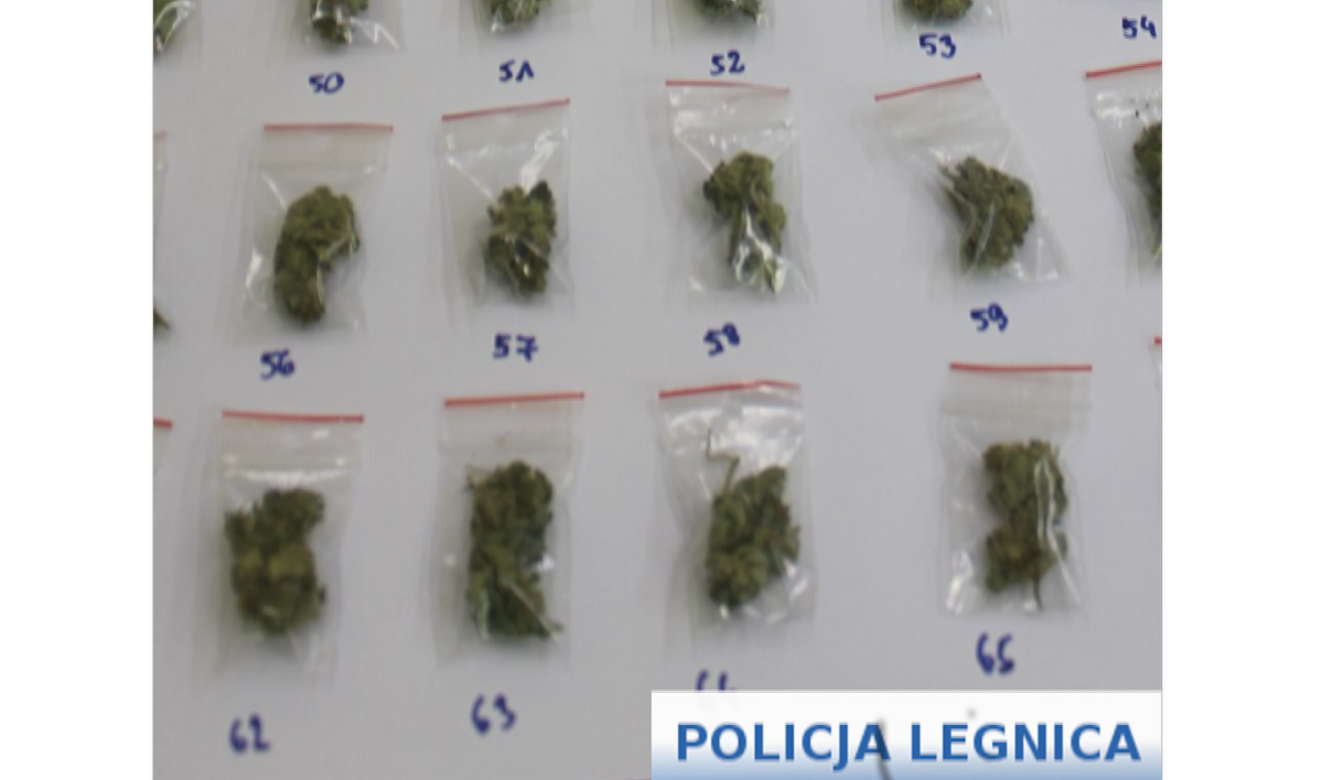 Dwóch dilerów i trzech piratów! Bilans pracy policji z ostatnich dni!