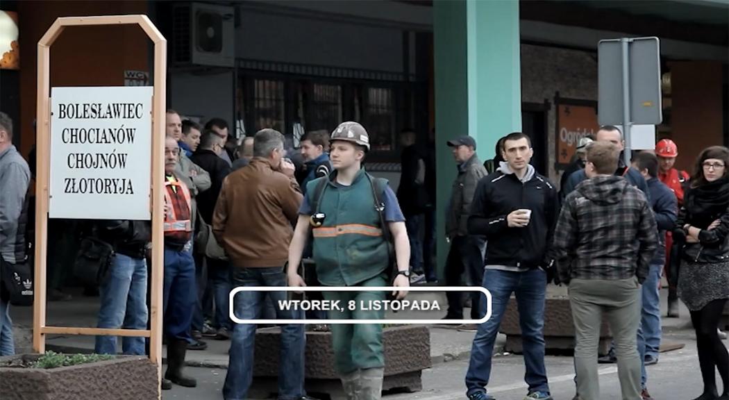 Legnica, Informacje Dami TV, 08.11.2016
