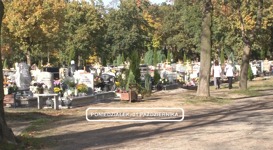 Legnica, Informacje Dami TV, 31.10.2016