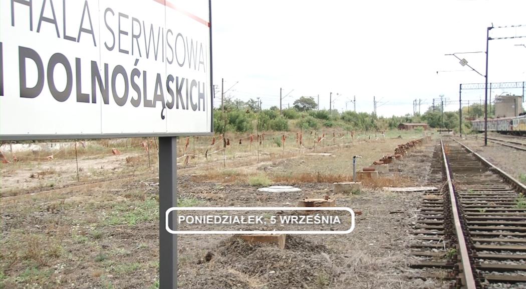 Legnica, Informacje Dami TV, 05.09.2016