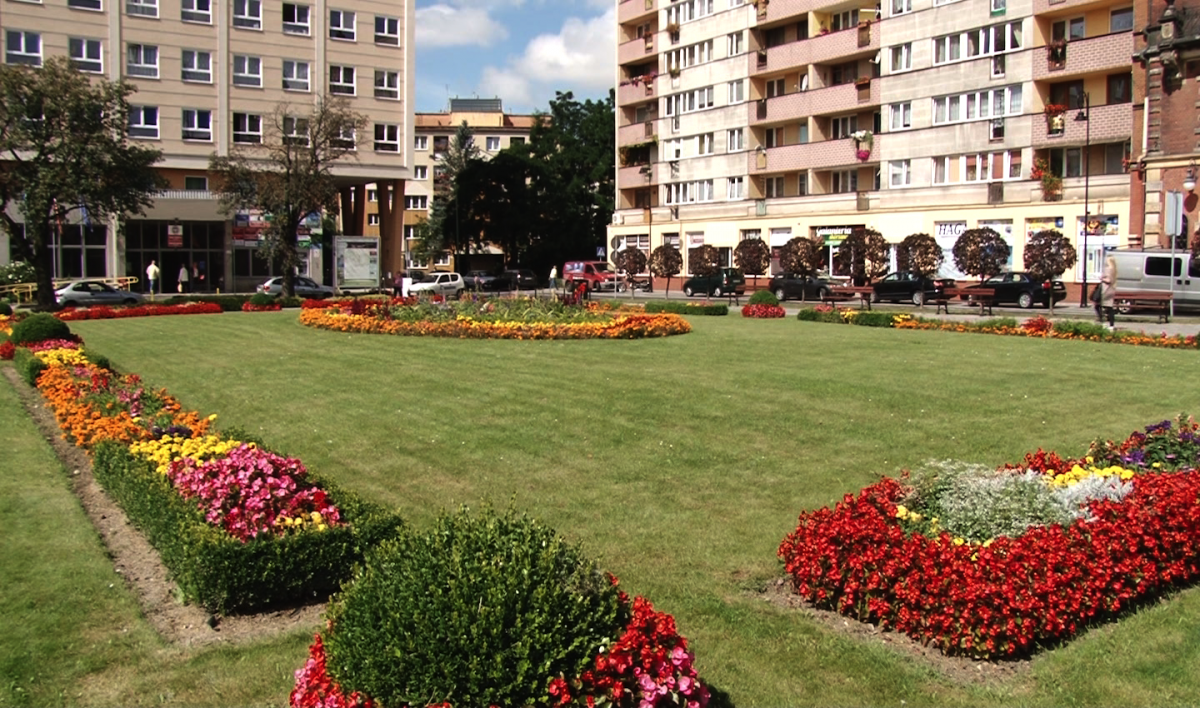 Legnica startuje w plebiscycie na najlepiej ukwiecone miasto
