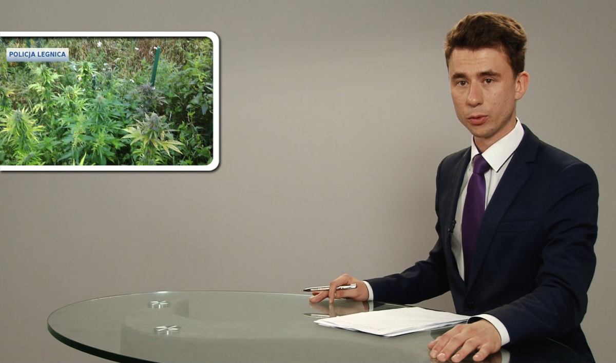 Legnica, Informacje Dami TV, 04.08.2016