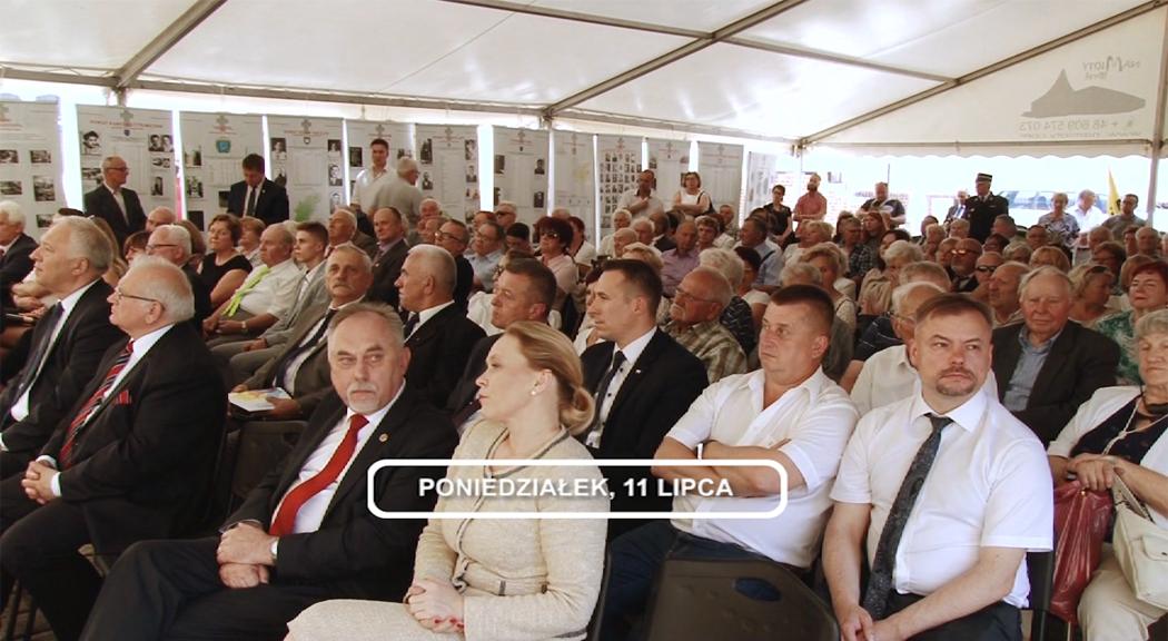 Legnica, Informacje Dami TV, 11.07.2016