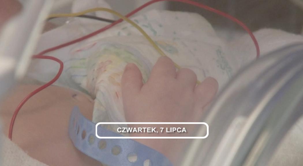 Legnica, Informacje Dami TV, 07.07.2016
