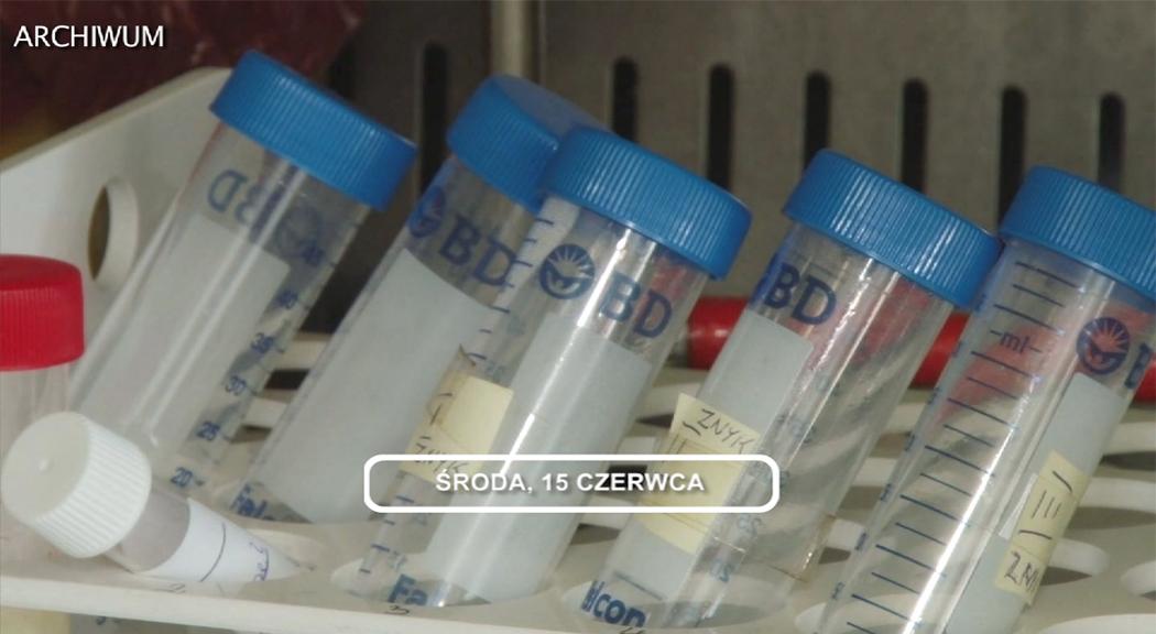 Legnica, Informacje Dami TV, 15.06.2016