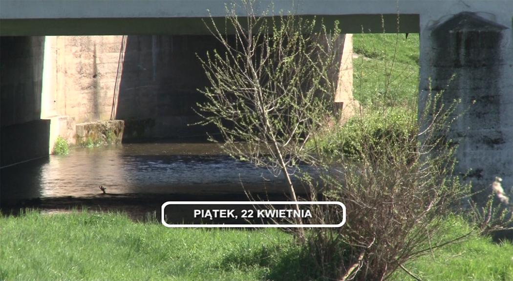 Legnica, Informacje Dami TV, 22.04.2016