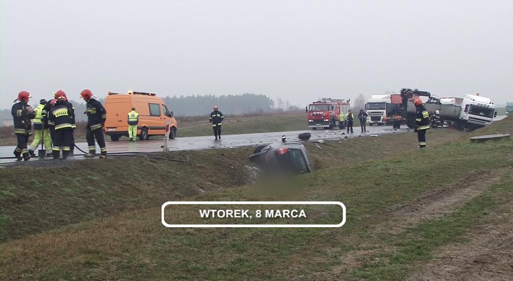 LEGNICA, Informacje Dami TV, 08.03.2016