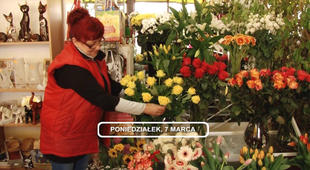 LEGNICA, Informacje Dami TV, 07.03.2016