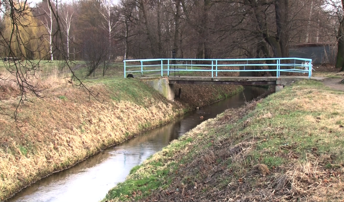 Być może w Legnicy odkryją Młynówkę 