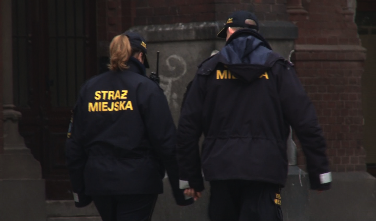 W Lubinie chcą zlikwidować straż miejską! Czy legniczanom poda się taka decyzja? 