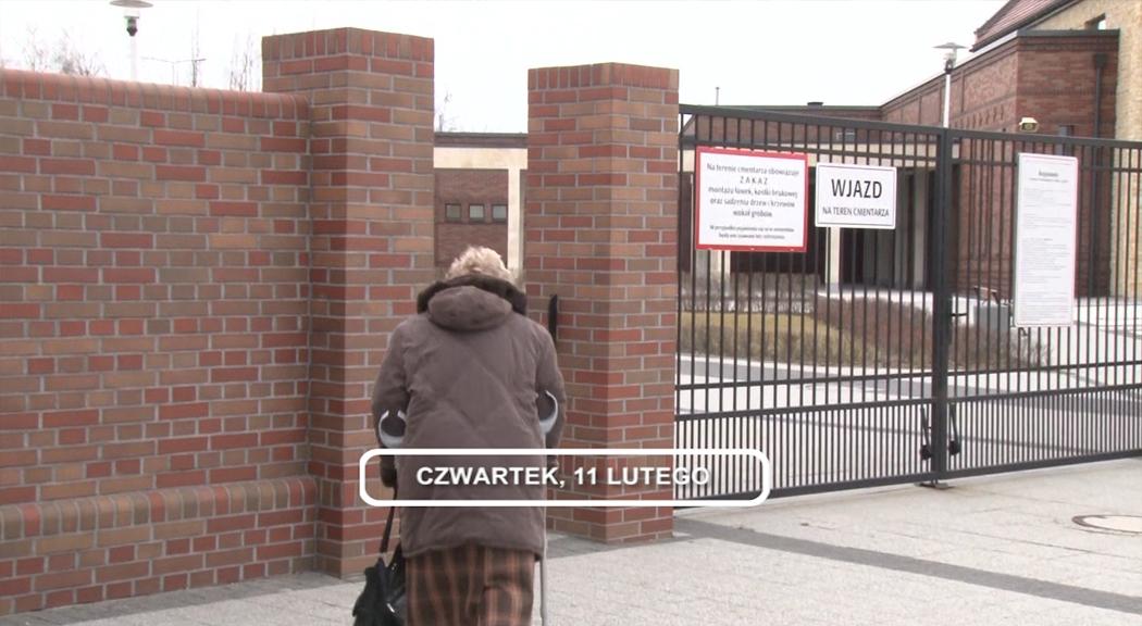 LEGNICA, Informacje Dami TV, 11.02.2016