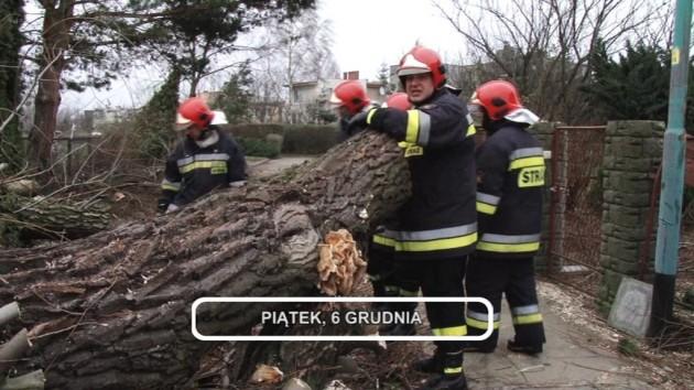 Informacje, 06-12-2013