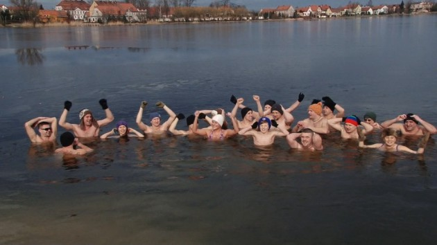 Coraz więcej morsów w Legnicy