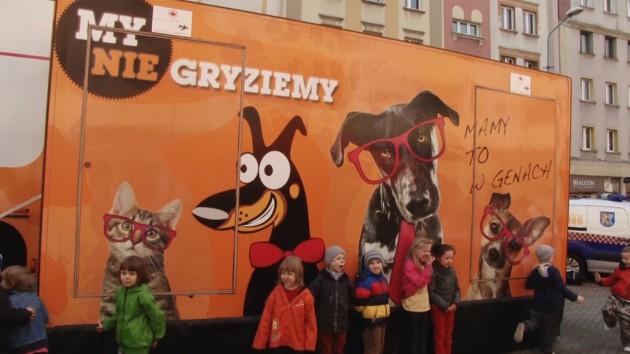 Uczyli jak obchodzić się ze zwierzętami