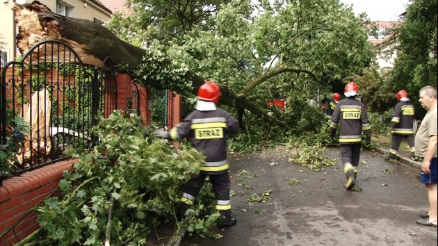 Pracowity dzień strażaków