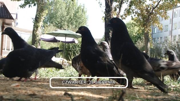 Informacje, 28-08-2014