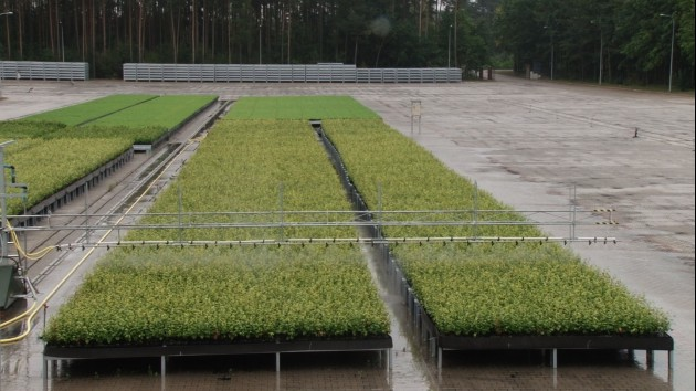 Pod Legnicą otworzą najnowocześniejszą szkółkę w Polsce