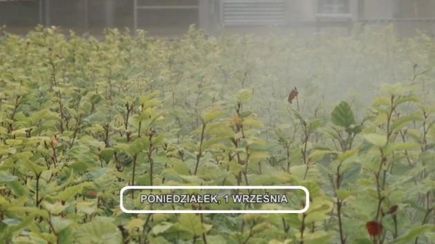 Informacje, 01-09-2014