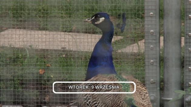 Informacje, 09-09-2014
