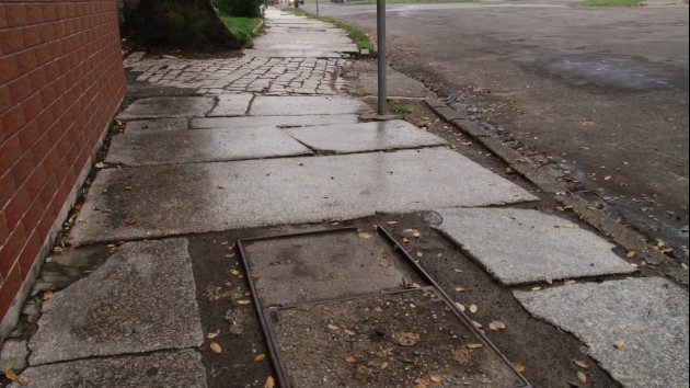 Chodniki pod psem. Mieszkańcy Zosinka z ostrą krytyką