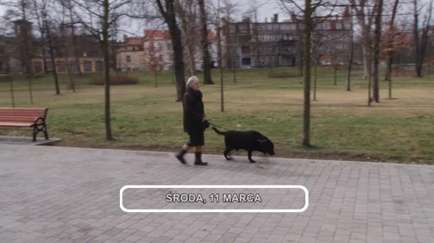 Informacje, 11-03-2015
